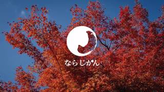 10月 美しい奈良の秋の画像