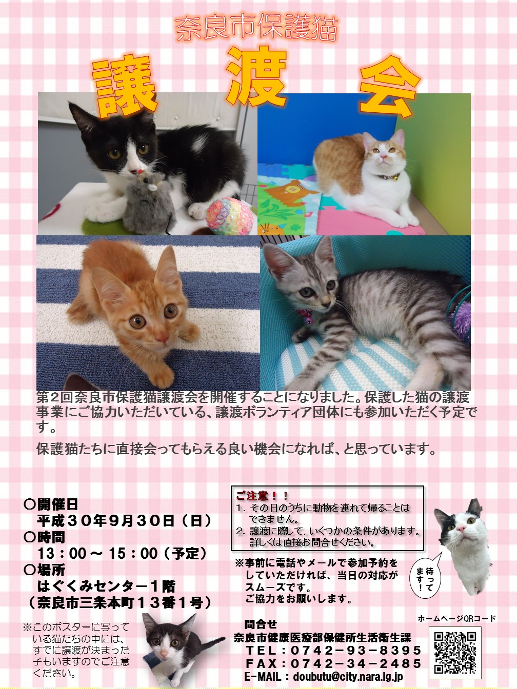 第2回奈良市保護猫譲渡会の開催について(平成30年9月6日発表)の画像