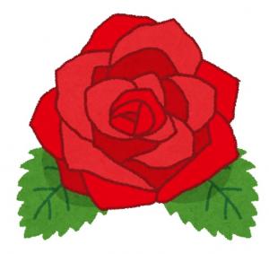 薔薇の花のイラスト