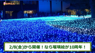 奈良市ニュース～2/8(金曜日)から開催!なら瑠璃絵が10周年!～の画像