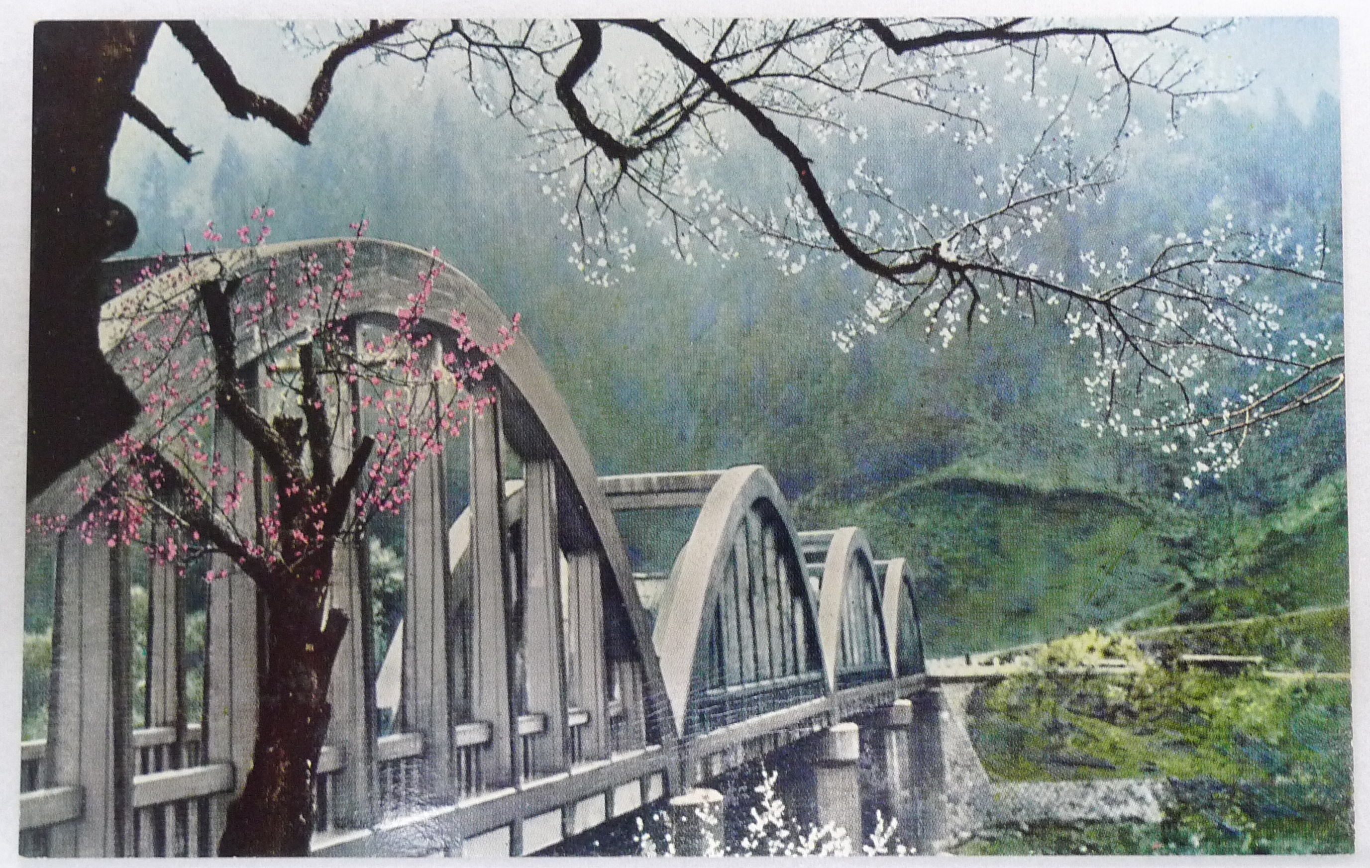 月ヶ瀬橋の画像