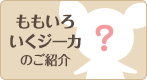 ももいろいくジーカの紹介
