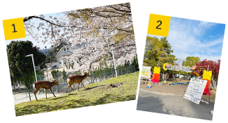 写真1、写真2