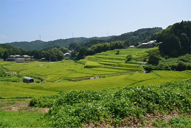 田舎ぐらしの画像2