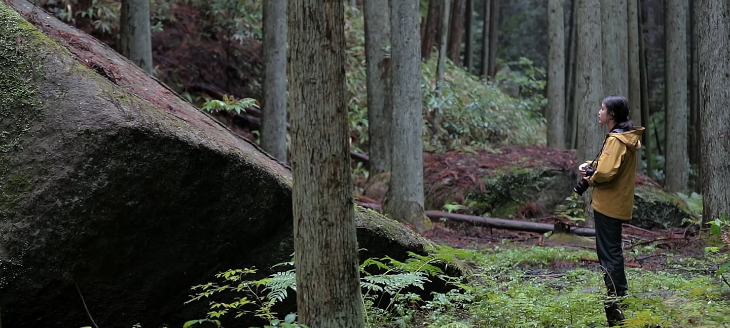 天之石立神社・一刀石