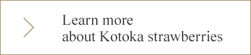 Learn more about Kotoka strawberries
