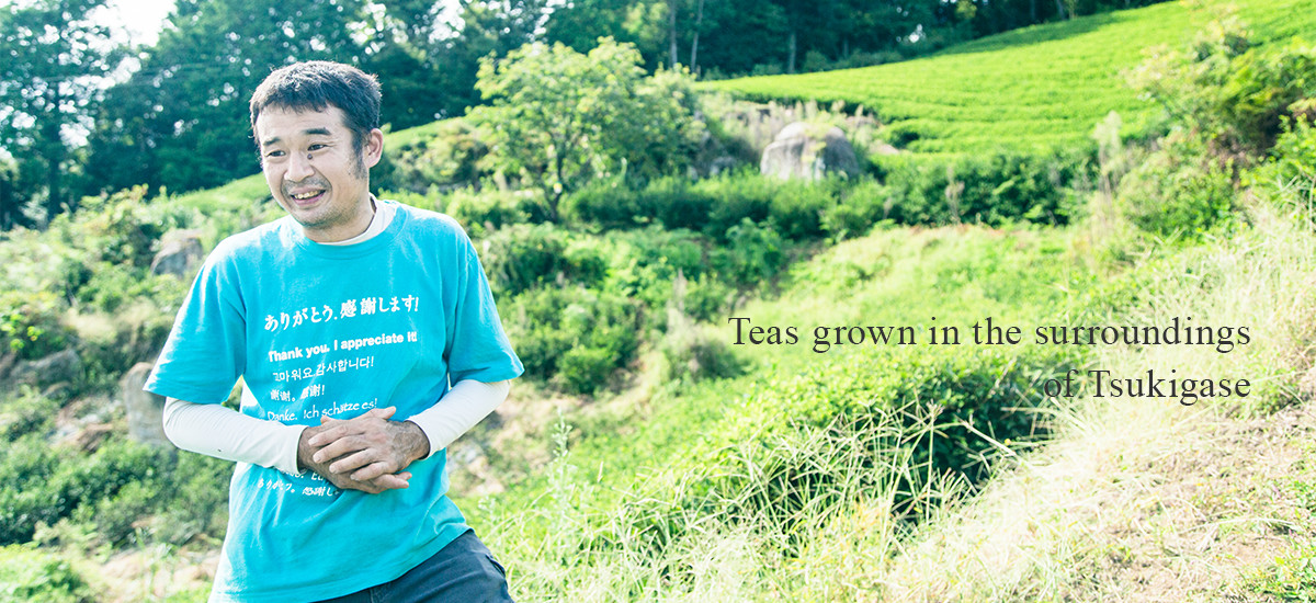 Teas grown in the surroundings of Tsukigase