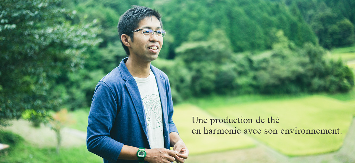 Une production de thé en harmonie avec son environnement.