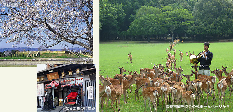 「平城宮跡」の写真と「ならまちの町並み」の写真、「なつの鹿寄せ（奈良市観光協会公式ホームページより）」の写真