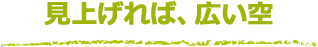 見上げれば、広い空