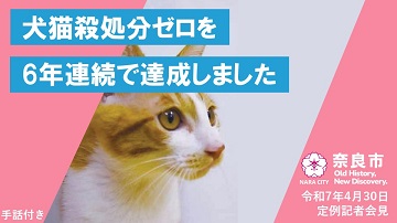 犬猫殺処分ゼロを6年連続で達成しました【市長会見】（令和7年4月30日発表）