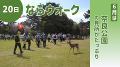 令和7年度 20日ならウォークの画像