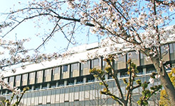 奈良市の概要の画像