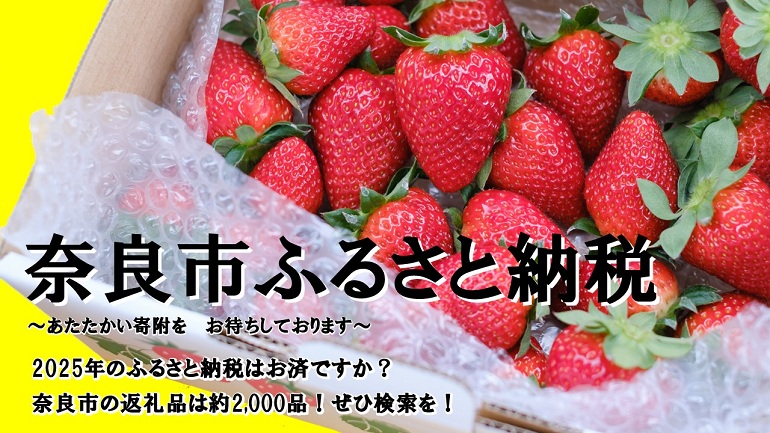 ふるさと納税（市外向け）