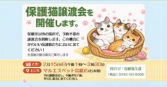 奈良市保護猫サンデー譲渡会の画像