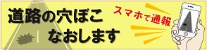 道路損傷通報システム