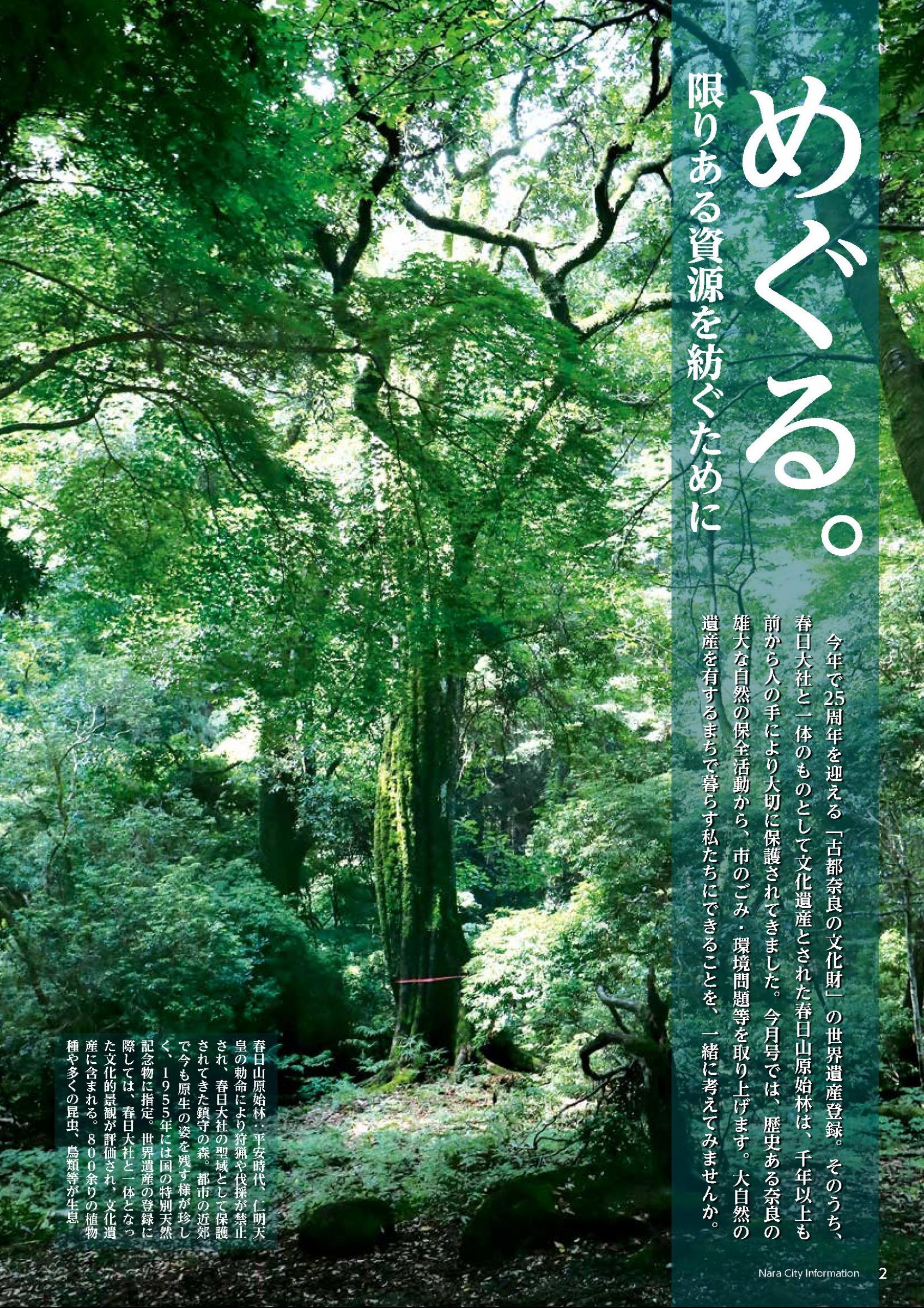 ウェブブック - しみんだより令和5年8月号webブック1～9p 2ページ目