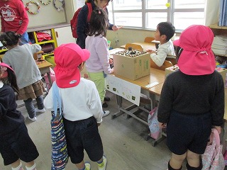 作品展