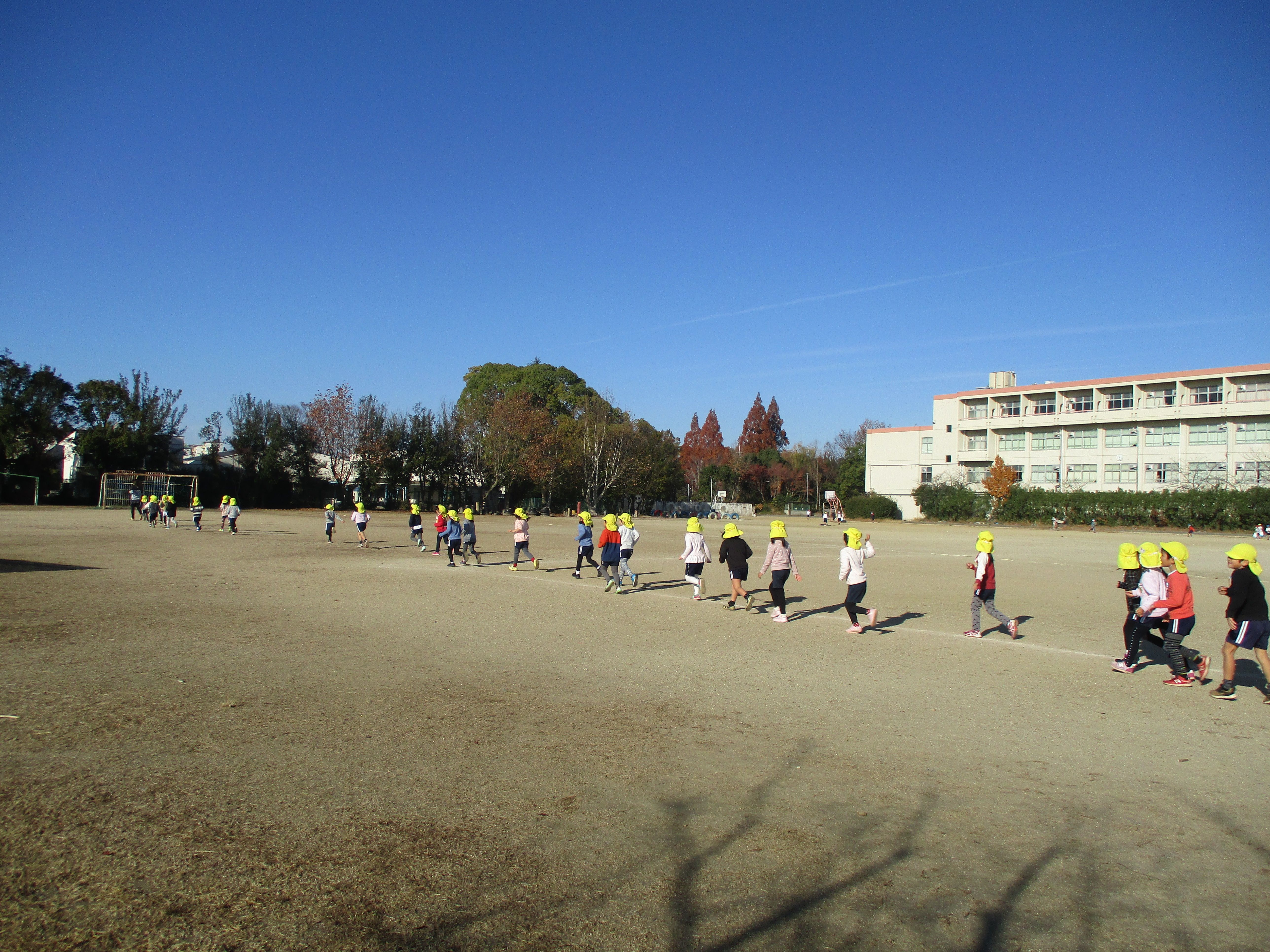 東 登美 ヶ 丘 小学校 運動会