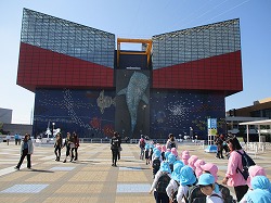 海遊館だぁ