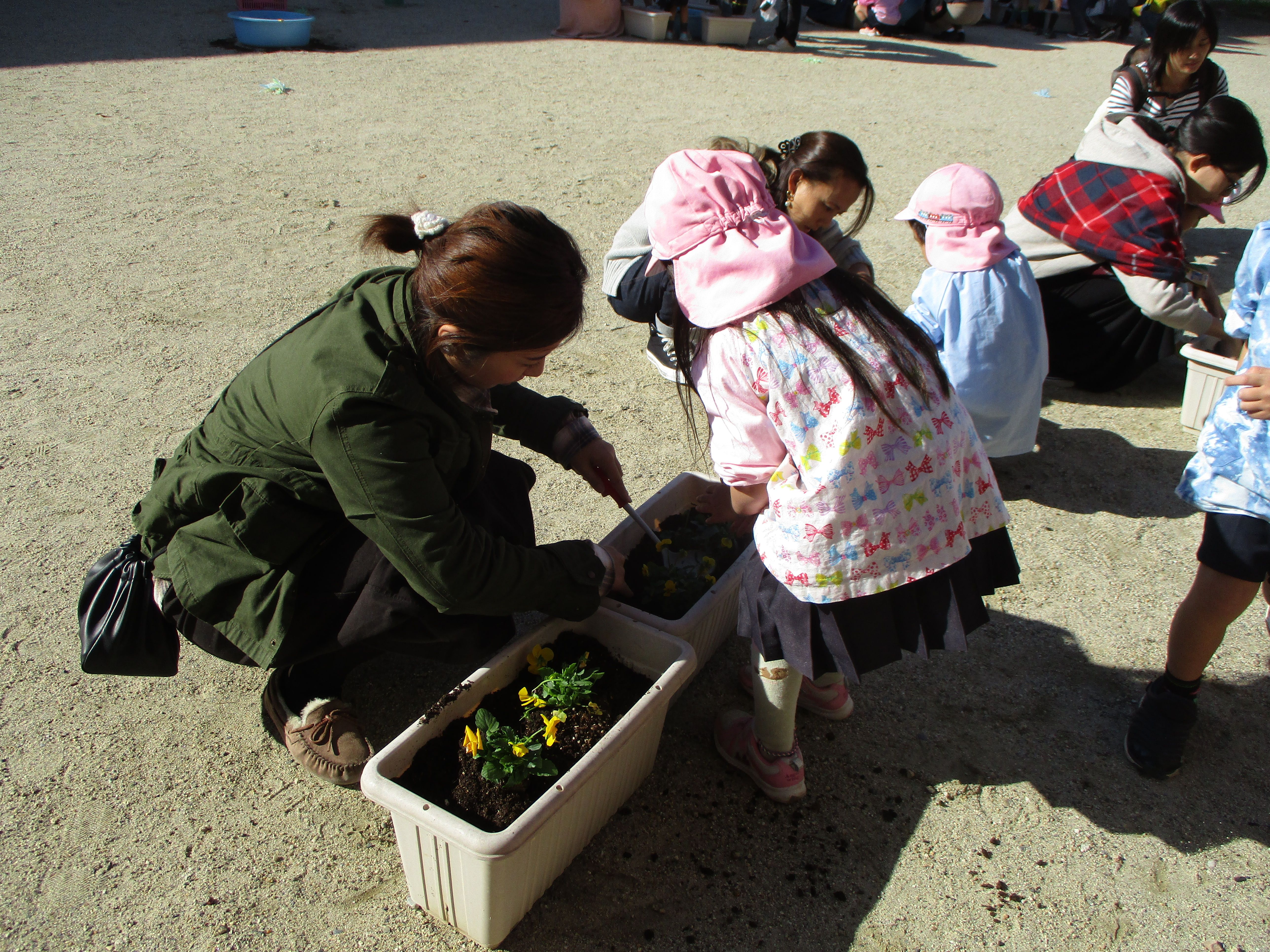 親子花植え