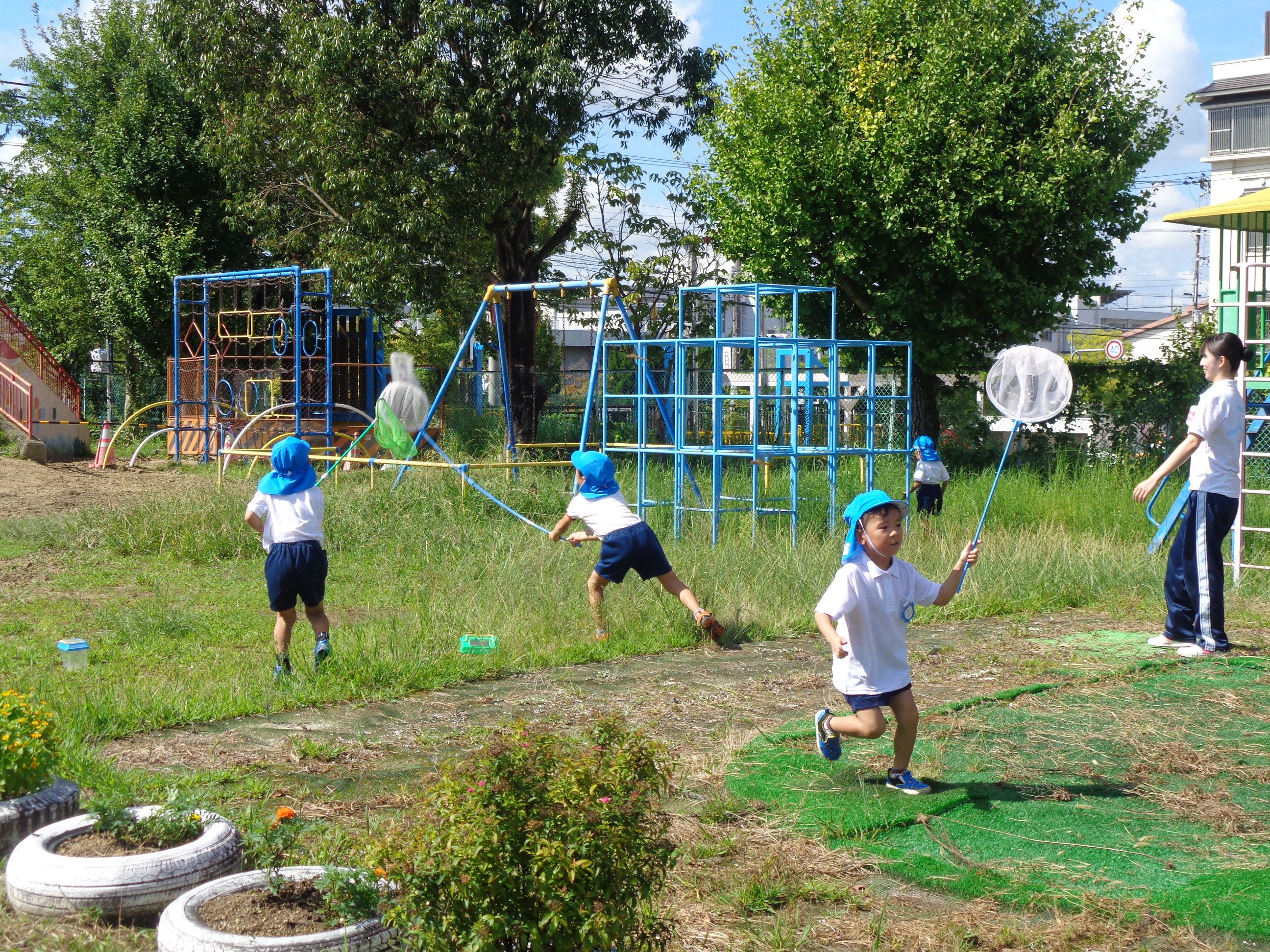 とんぼとりをする5歳児