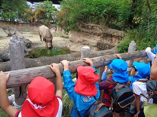 サイを見る子どもたち