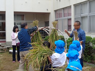 勝った稲穂を干す子どもたち