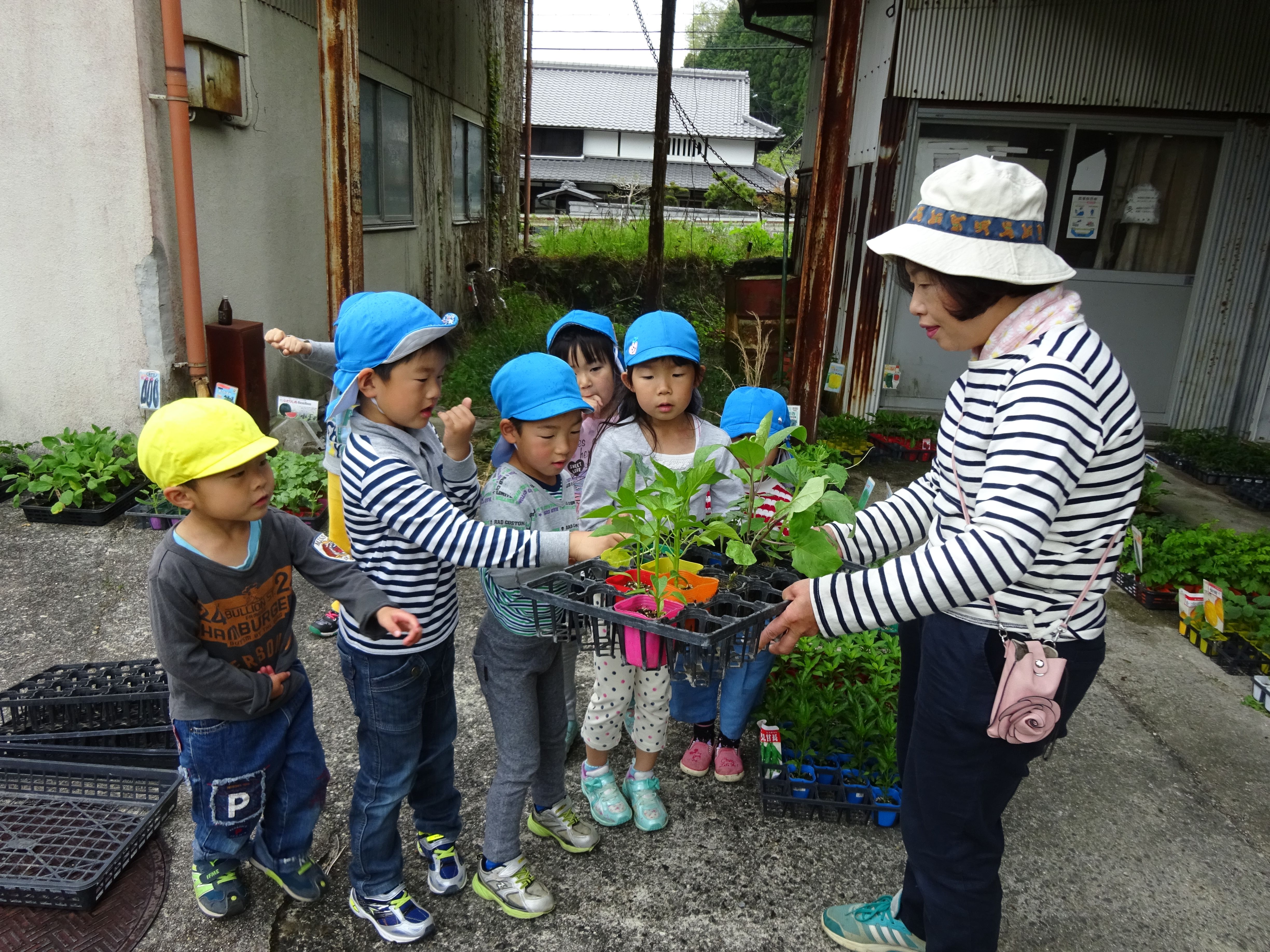 4月27日（金曜日）農協へ野菜苗を買いに行きましたの画像