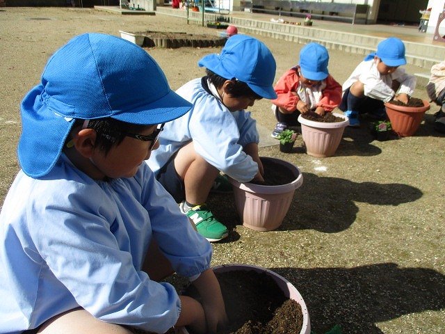 そら組球根植え