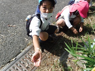 ドングリ拾い