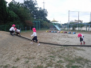 ドングリ転がし