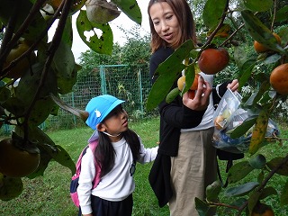 カキ狩り