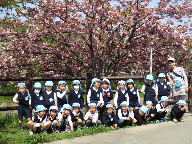 4月10日　園外保育（佐保川沿い）の画像2