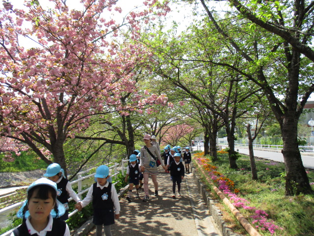 4月10日　園外保育（佐保川沿い）の画像3