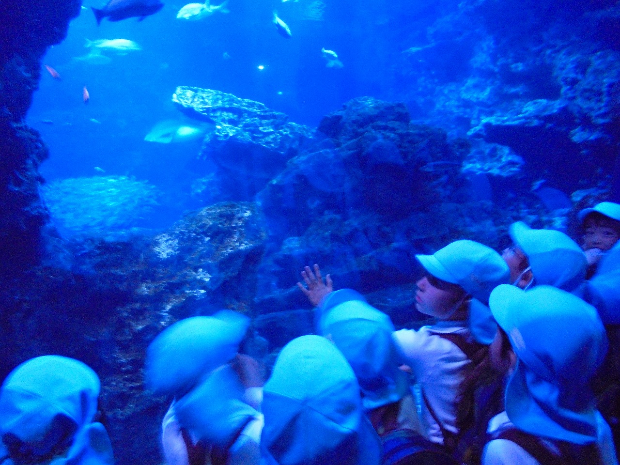 水族館