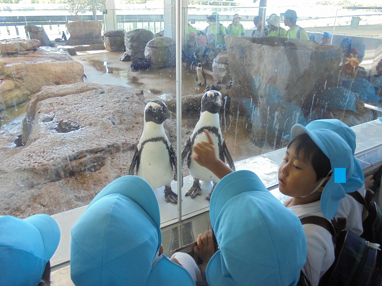 水族館