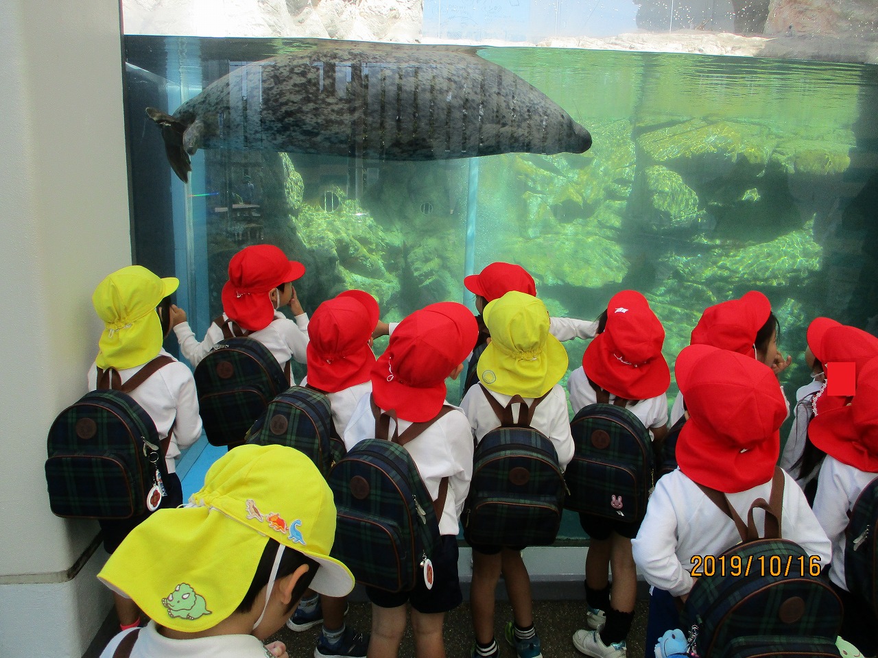 水族館