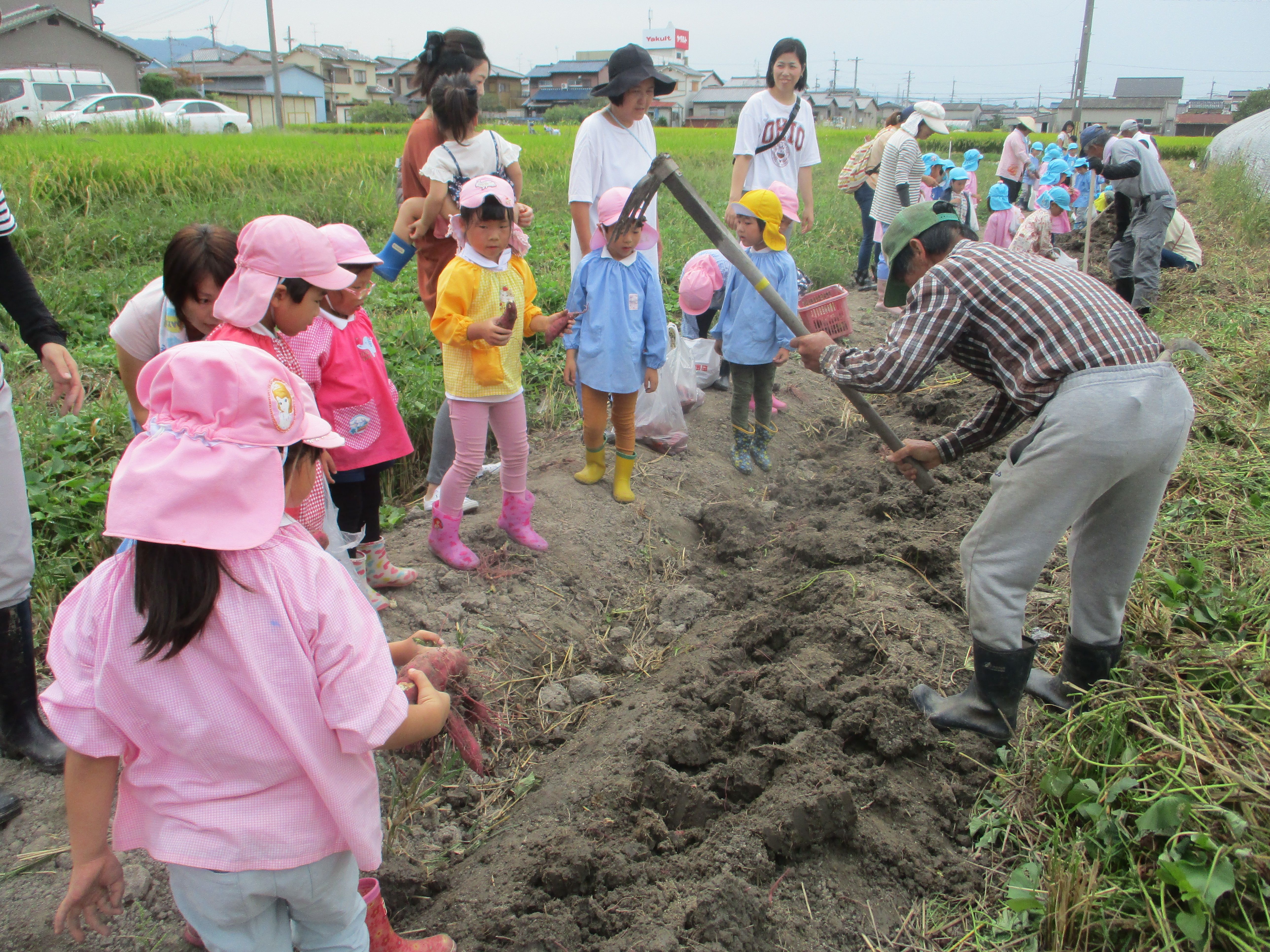 地域の方に土をおこしてもらっています。