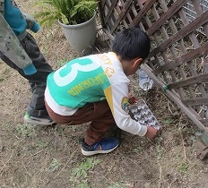 氷ができるかな