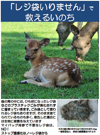地域協議会と市の主な取り組みの画像4