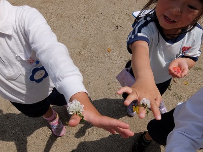 5歳児　お花摘み