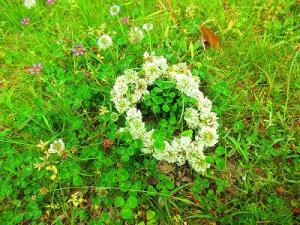 シロツメクサの花冠