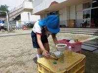 花を水の中に入れて色水遊びをする5歳児