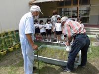 田植えのお世話をしてくださった地域の方にお礼を言う5歳児