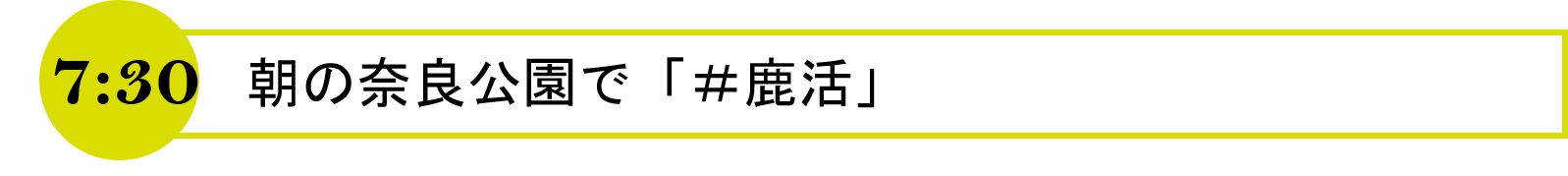 7時30分　朝の奈良公園で「ハッシュタグ鹿活」