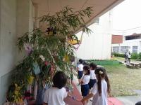 飾り終わった笹を立てる5歳児担任と子どもたち