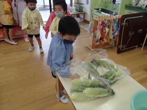 トウモロコシを選んでいます