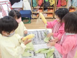 トウモロコシの皮をむいています