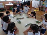 収穫した野菜をどうやって分けるか、みんなで相談する5歳児